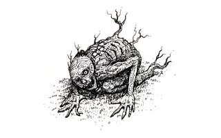 The Mother Tree's Child